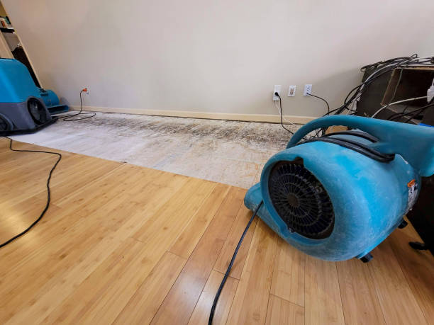 Professional Burst Pipe Water Damage technician working in Milan, MO